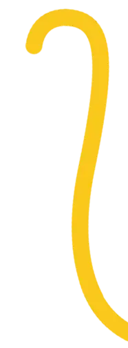 Ligne-fond-top-reverse